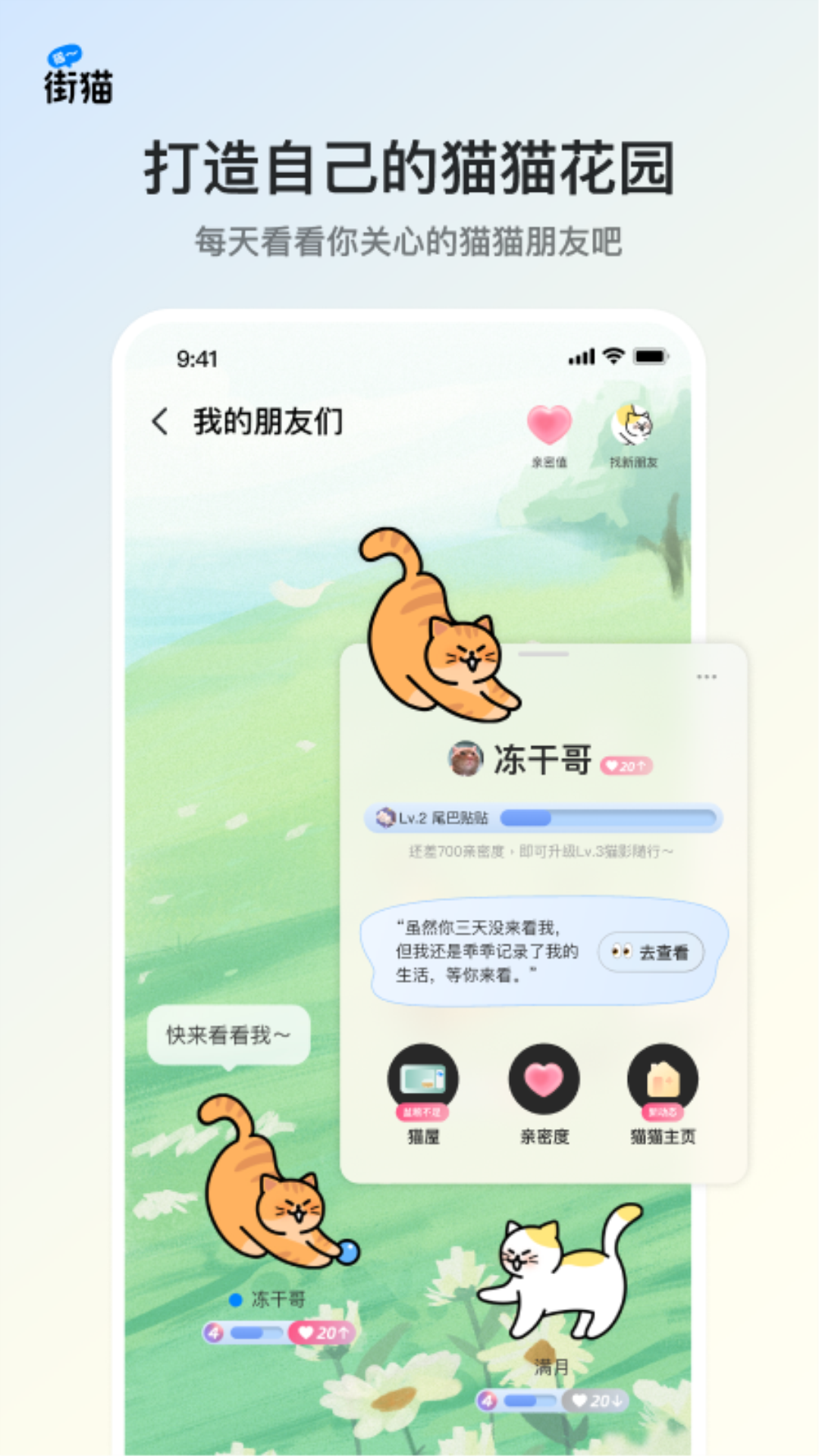 街猫app