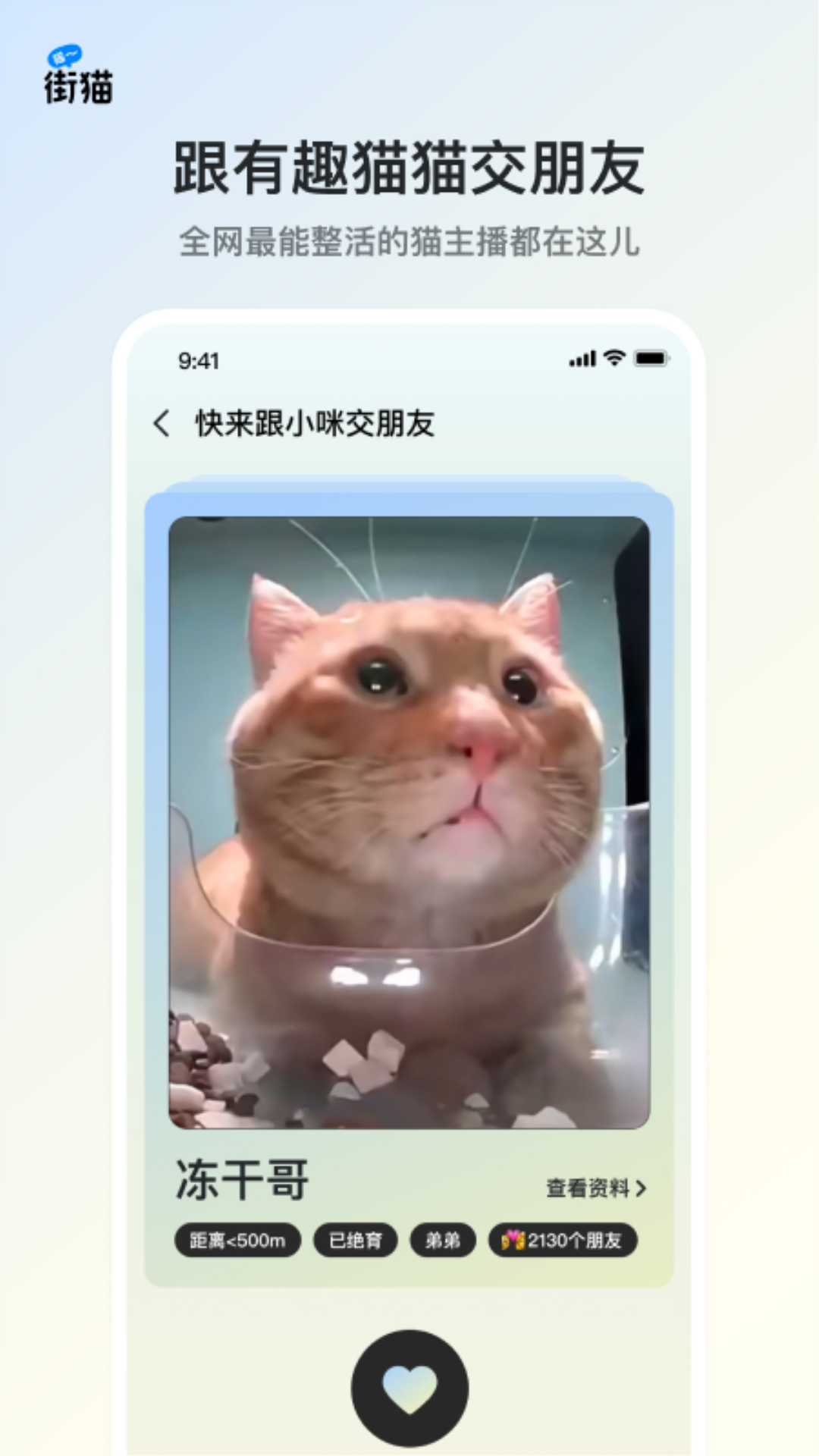 街猫app