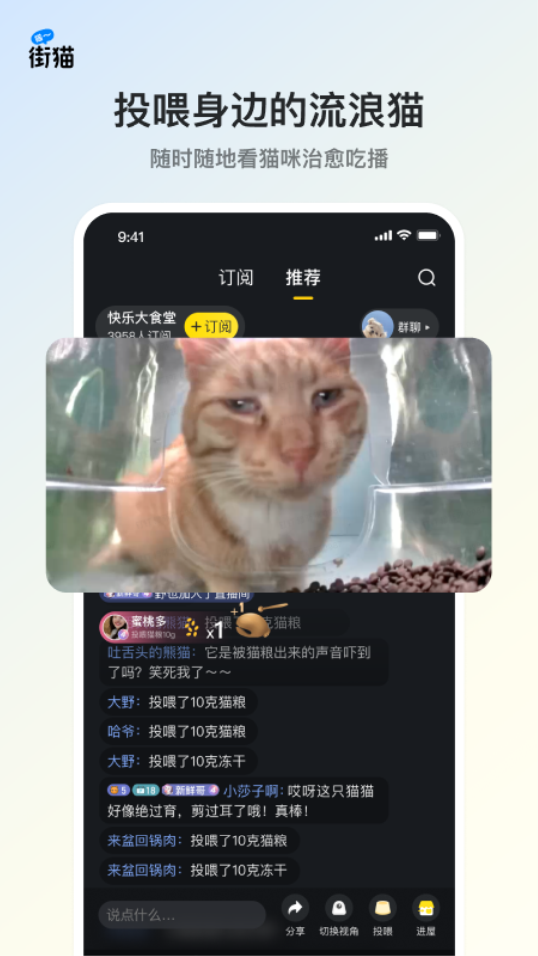 街猫app