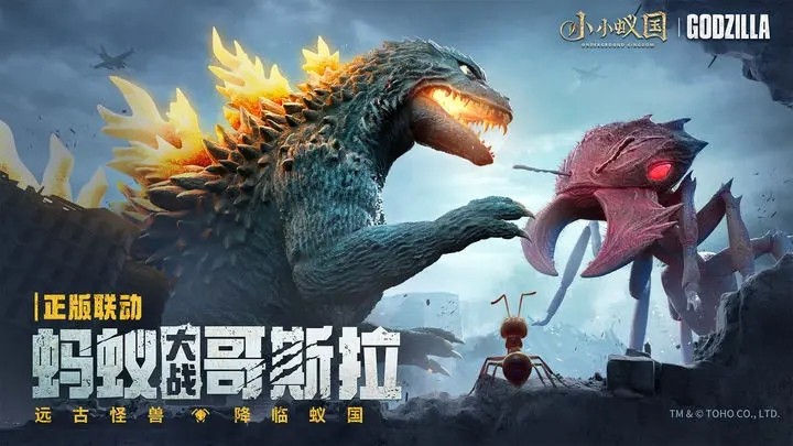 小小蚁国