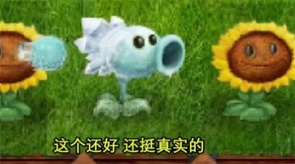 植物大战僵尸写实版
