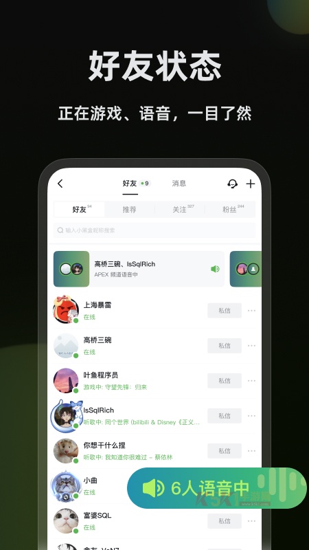 黑盒语音