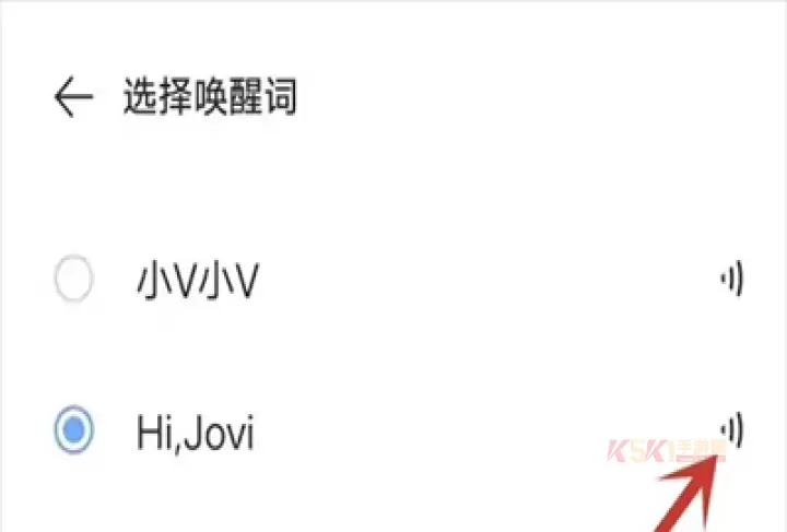 jovi语音_https://www.k5k1.com_系统工具_第6张