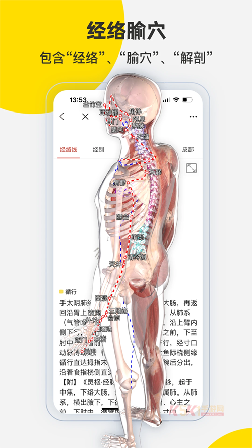 3Dbody官方版