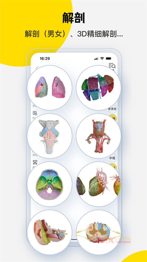 3Dbody官方版