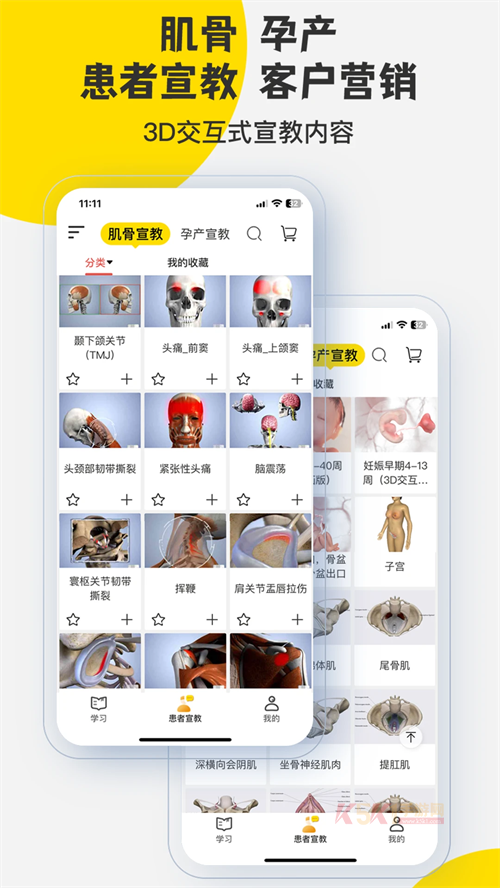 3Dbody官方版
