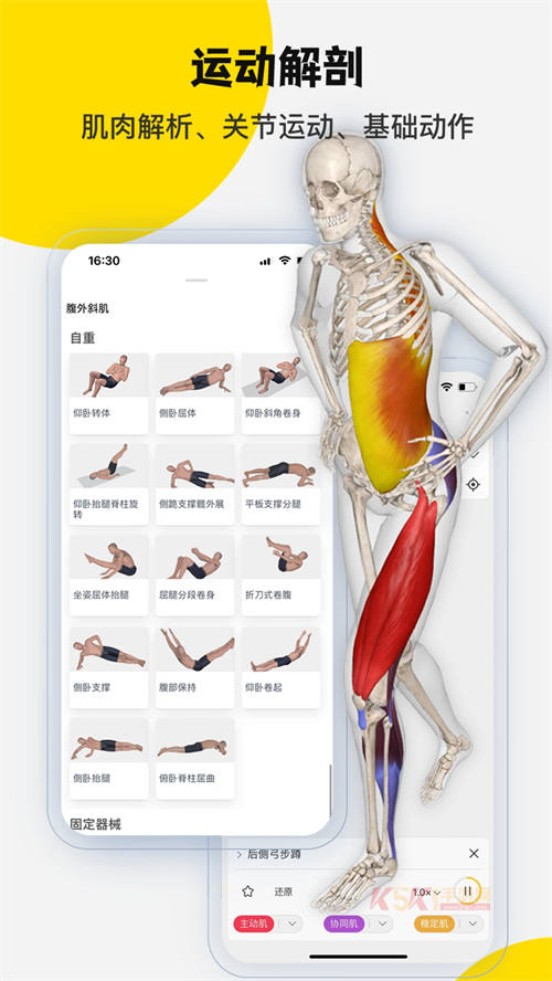 3Dbody官方版