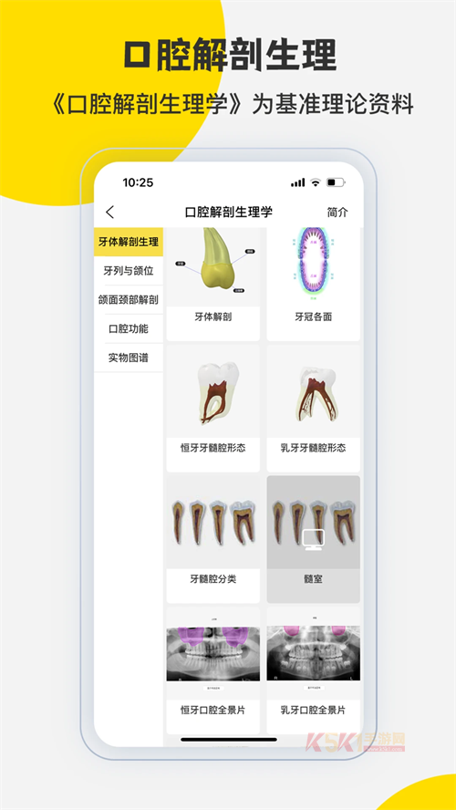 3Dbody官方版