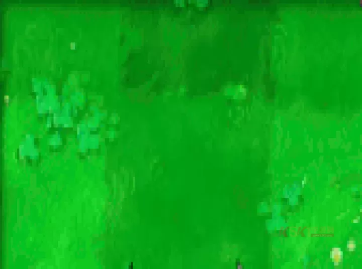 植物大战僵尸重植版_https://www.k5k1.com_战争策略_第17张
