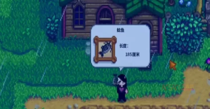 星露谷物语安卓汉化版_https://www.k5k1.com_模拟经营_第11张