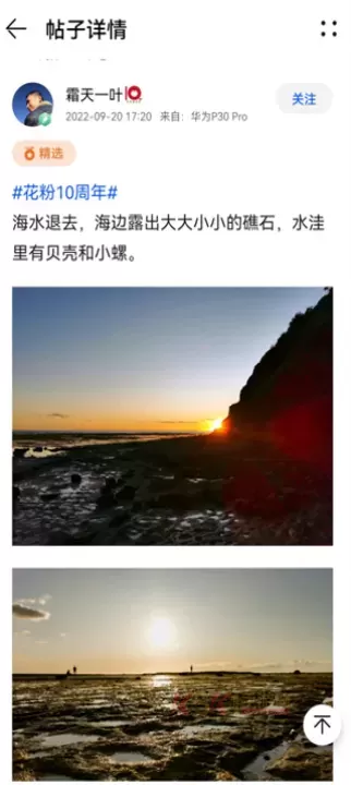 花粉俱乐部_https://www.k5k1.com_生活服务_第1张