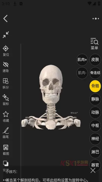 3Dbody官方版_https://www.k5k1.com_生活服务_第3张