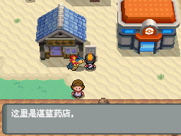 口袋妖怪心金
