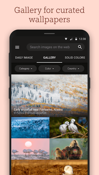 bing wallpapers apk(必应壁纸)