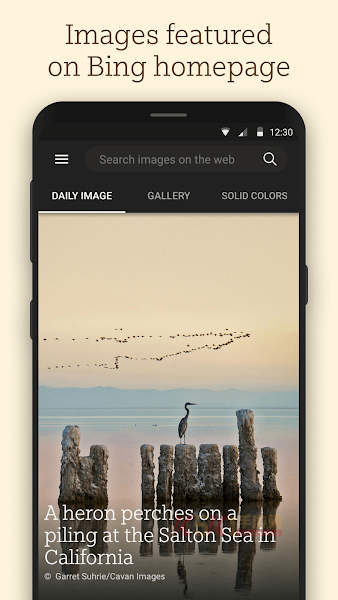 bing wallpapers apk(必应壁纸)