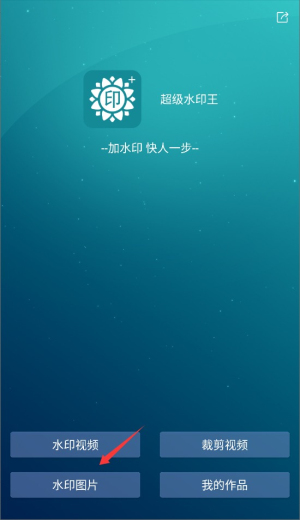 超级水印王