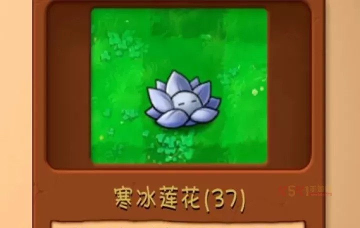 植物大战僵尸融合版_https://www.k5k1.com_策略卡牌_第5张