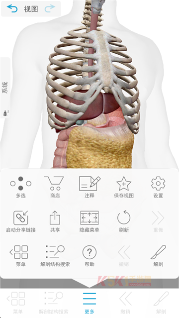 人体解剖学图谱(Atlas)