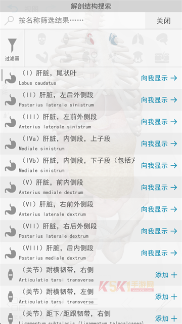 人体解剖学图谱(Atlas)