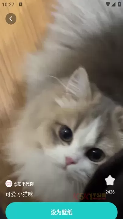 青藤壁纸手机版_https://www.k5k1.com_手机美化_第2张