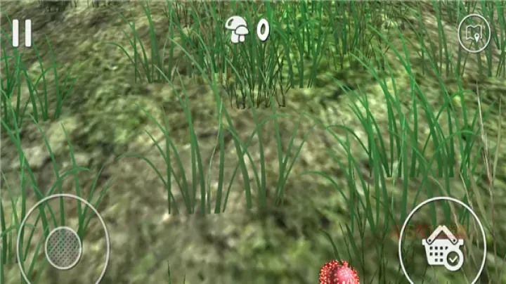 真实采集蘑菇模拟器_https://www.k5k1.com_模拟经营_第5张